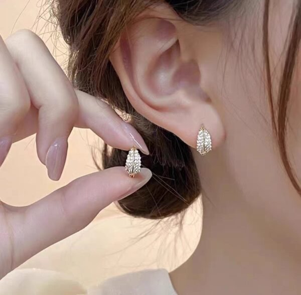 Boucles d'oreilles