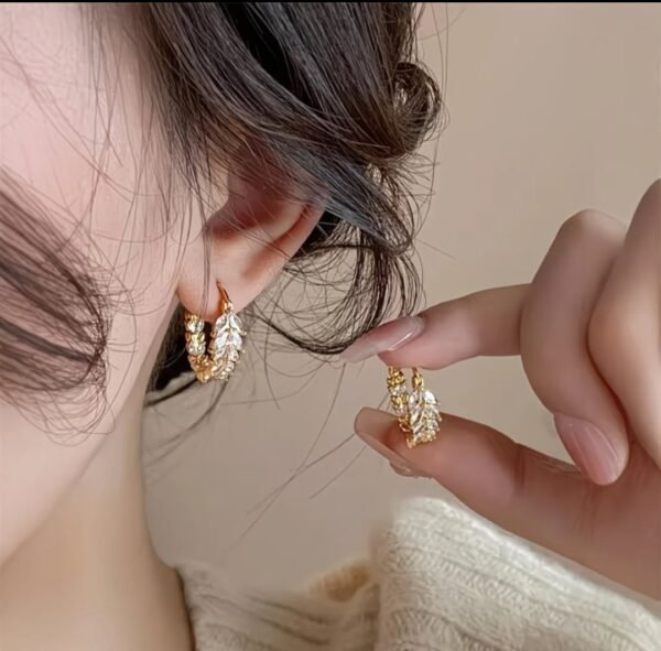 Boucles d'oreilles