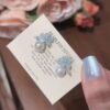 2026/10/1000279251.jpg Boucles d'oreilles